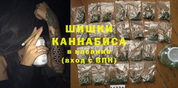 дживик Заводоуковск