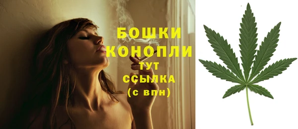 дживик Заводоуковск